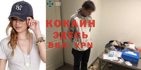 гидра Алексин