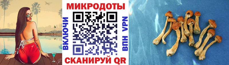 Псилоцибиновые грибы ЛСД Пласт